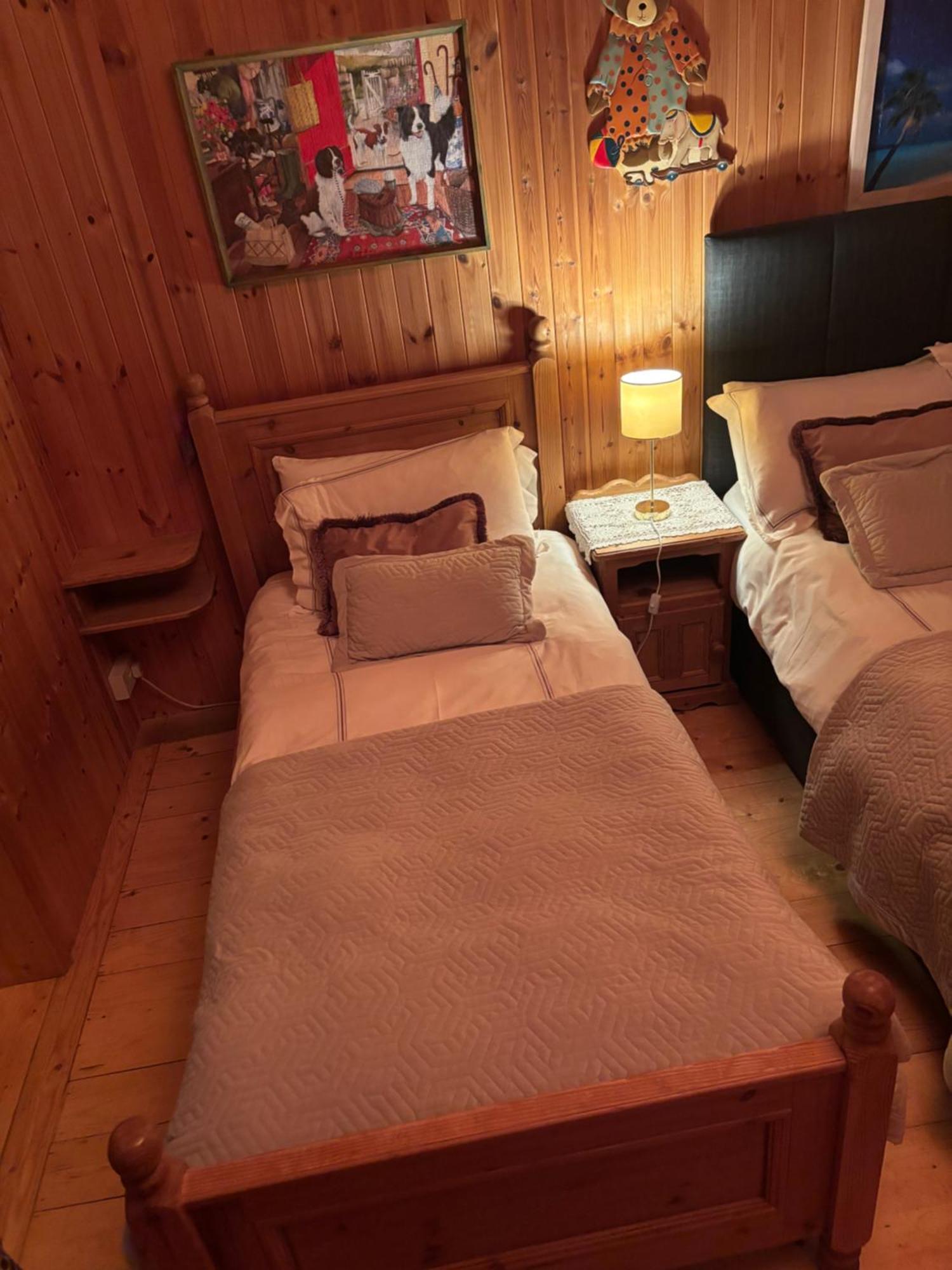 Cosy Countryside Log Cabin キルケニー エクステリア 写真
