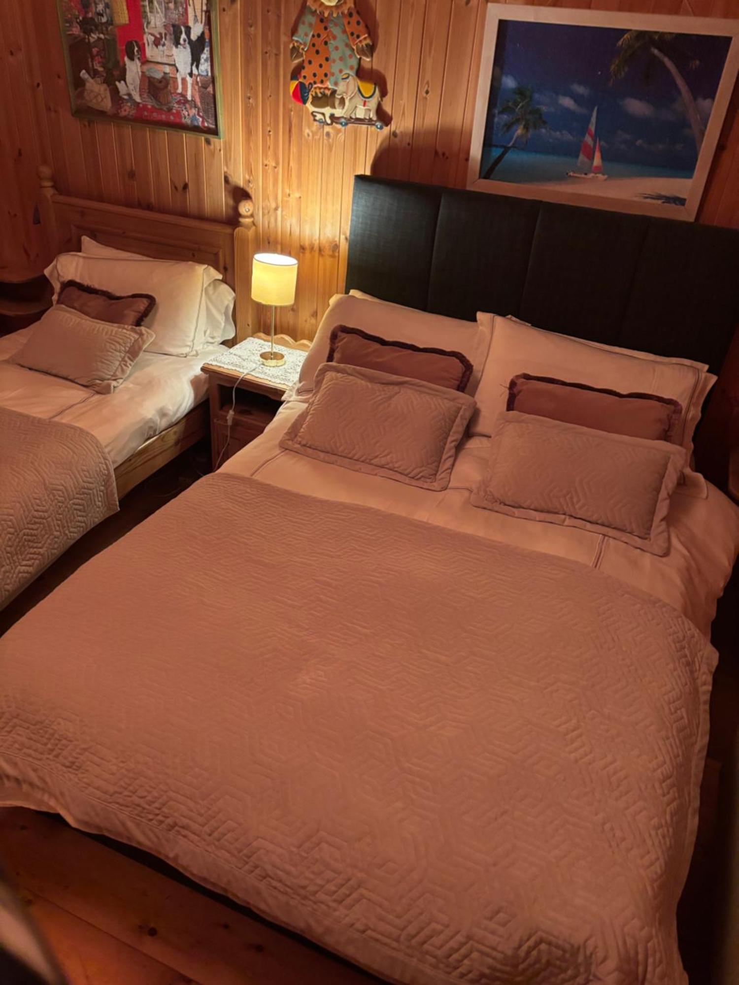 Cosy Countryside Log Cabin キルケニー エクステリア 写真